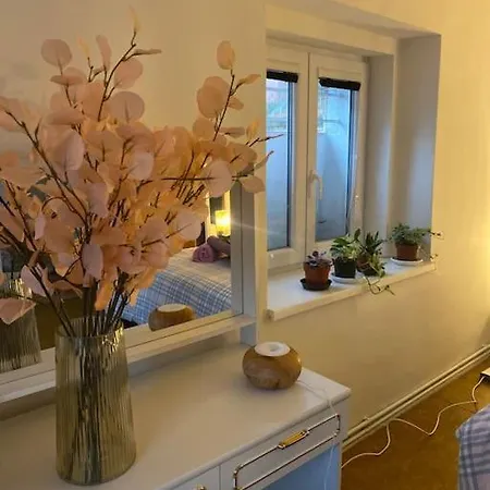 Apartment Flat In The House & Dog Friendly *