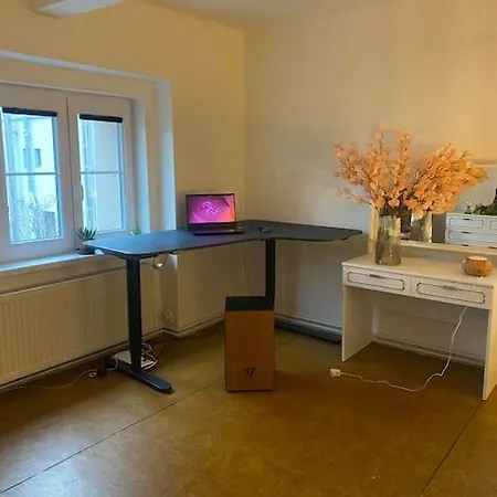 Flat In The House & Dog Friendly *