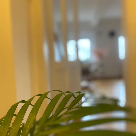 Flat In The House & Dog Friendly Apartment