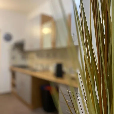 Flat In The House & Dog Friendly *