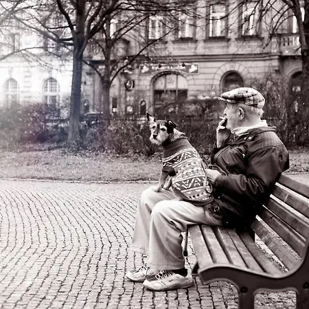 아파트 Vltava *