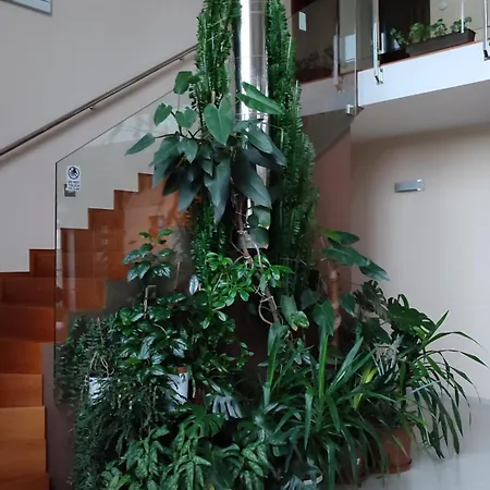 Homestay Nad Helmrovkou