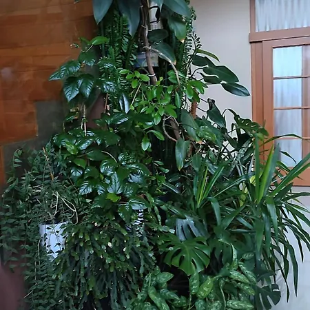 Nad Helmrovkou Homestay