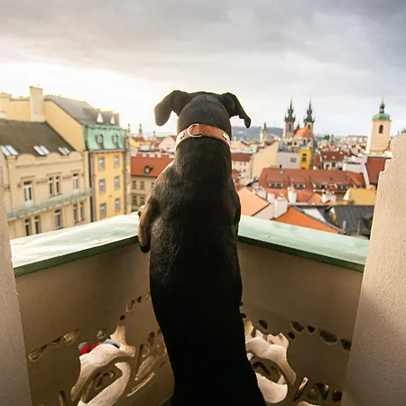 Hotell Paris Prag
