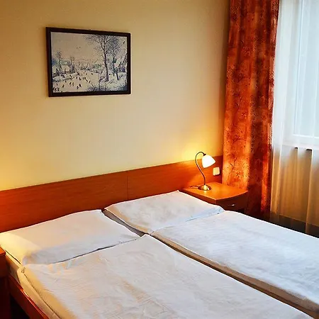 Albion Hotel 4*
