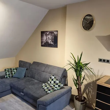 Vltava Design *