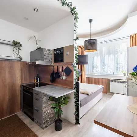 Apartment Vinohrady