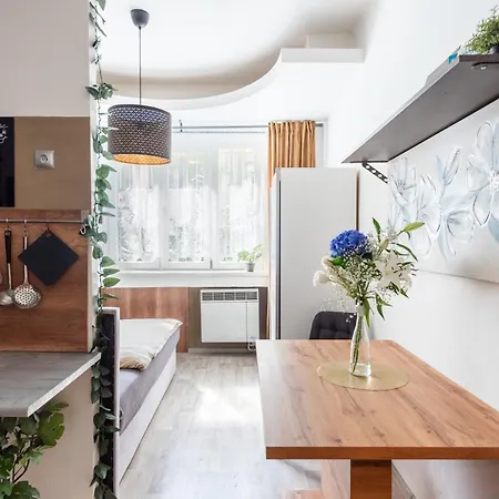 Vinohrady Apartment