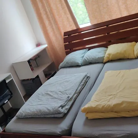 Prague, Lovely In Shared Flat. 民宿