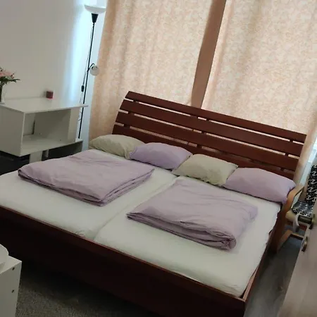 Prague, Lovely In Shared Flat. 民宿