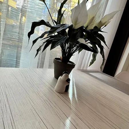 Apartment Jeseniova Prague