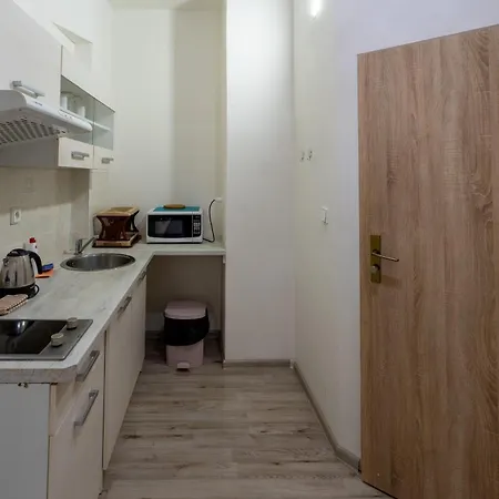 Downtown Apartamento Praga