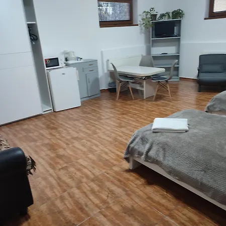 Nad Helmrovkou Homestay Prague