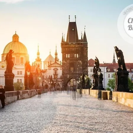 Premium - Free Massages From Physiotherapists * Prague