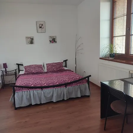 Nad Helmrovkou Homestay Prague