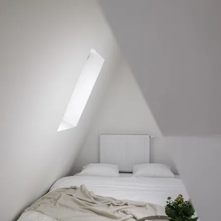 Spacious 4-story With Sauna & Garden Praga