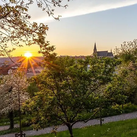 Sunset & Bloom Attic - Near Parks & Cafes Appartamento Praga