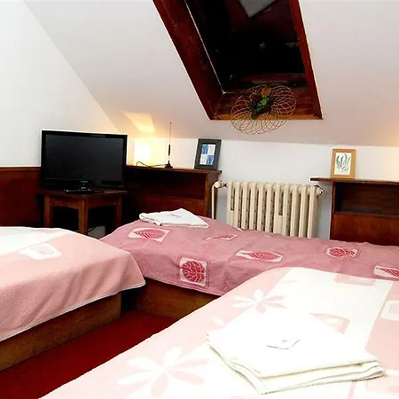 Hostel Free Zone