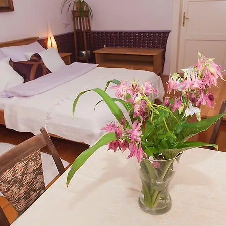 Ivana Bed and breakfast Praga