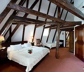 Cerny Slon Otel