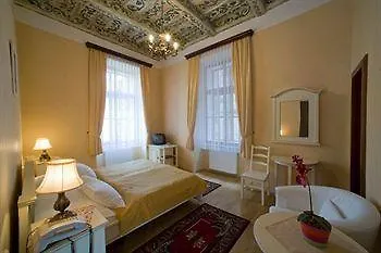 Otel Cerny Slon 4*