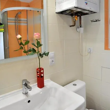 Apartment In Vinohrady Prague