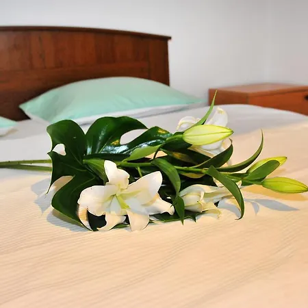 Apartment In Vinohrady