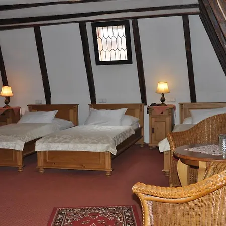 Otel Cerny Slon