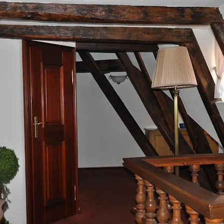 Otel Cerny Slon