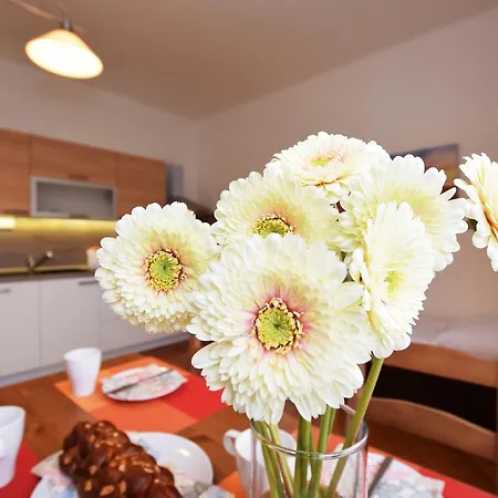 Apartmán Císařka