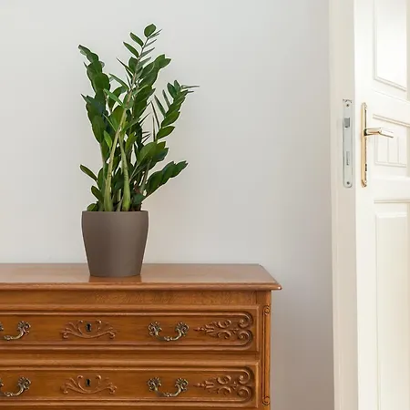 Old Town Apartment *
