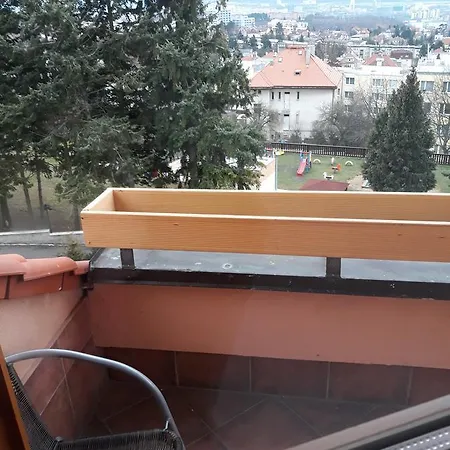 Flying House Guest house