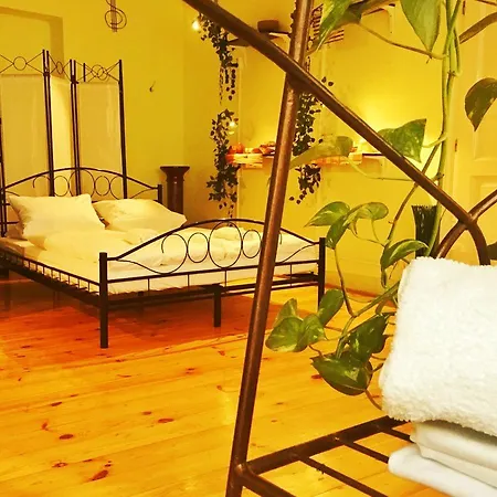 Homer - Old Town Square Hostel
