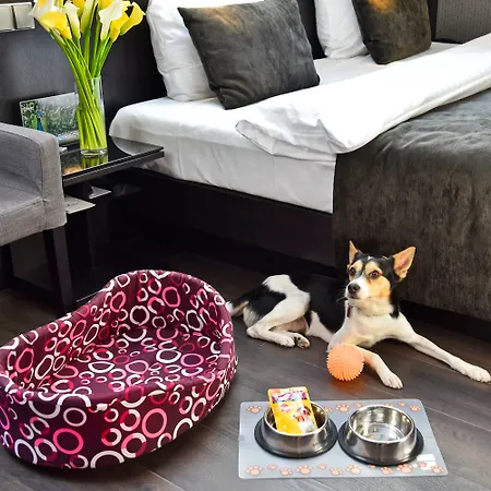 Ametyst Hotel