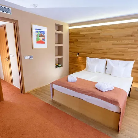 Park Congress & Wellness Otel