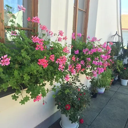 Daire Old Town Boutique