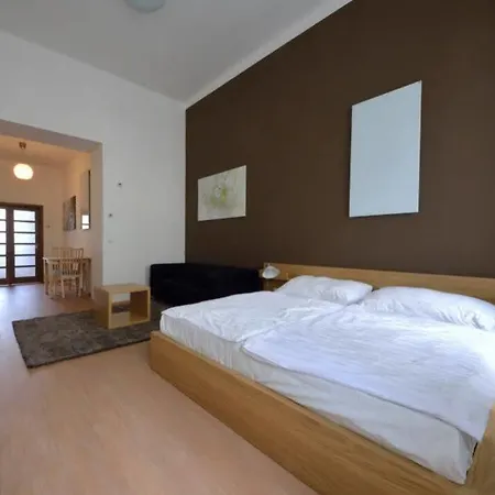 Downtown Chlumova Appartement