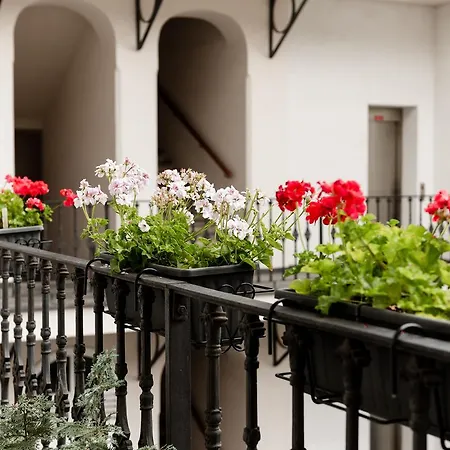 Gesse Kollarova Apartment
