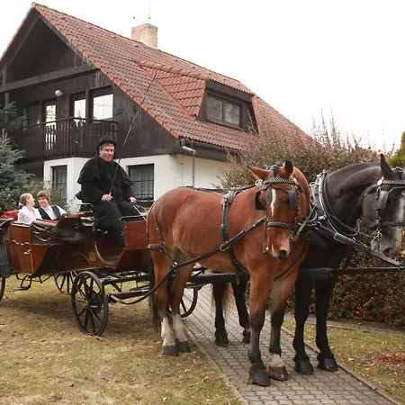 Conifer Idyllicprague Holiday home *