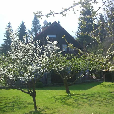 Conifer Idyllicprague Holiday home