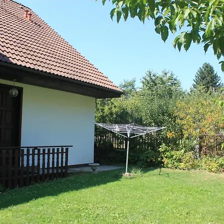 Conifer Idyllicprague