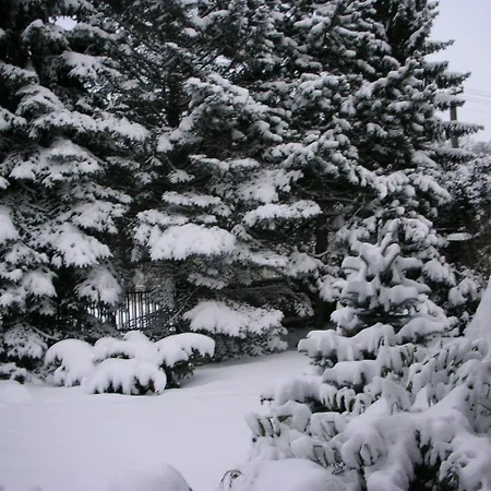 Holiday home Conifer Idyllicprague Prague