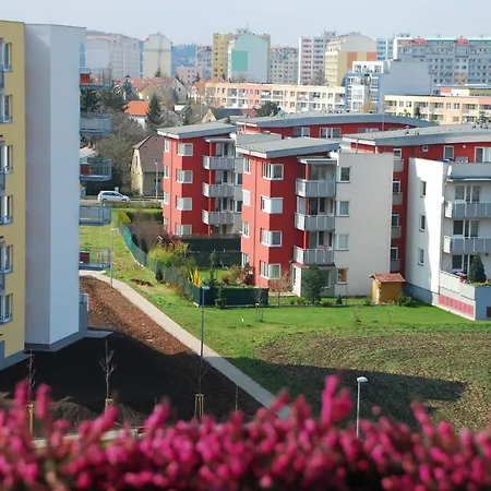 Apartamento A Place To *