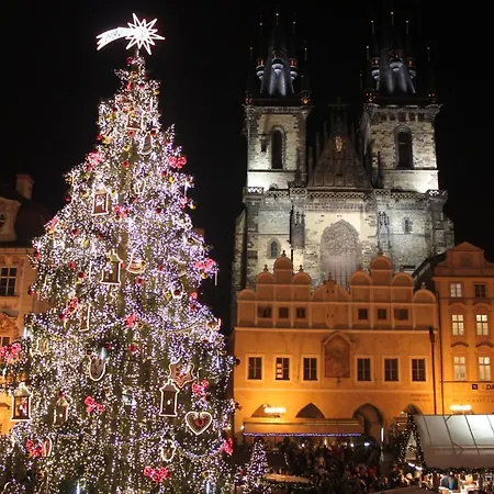 Conifer Idyllicprague *