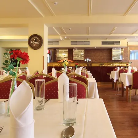 Hotel Albion Praga