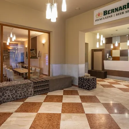 Hotel Centre Plaza Praag