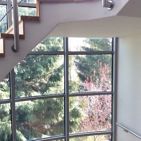 Flying House *