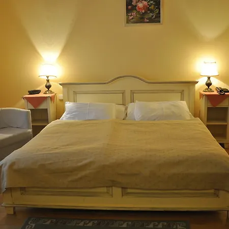 Otel Cerny Slon 4*