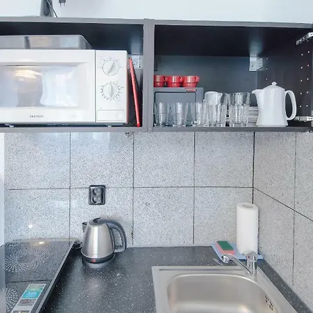 Modern Skolska 20 Apartment Prague