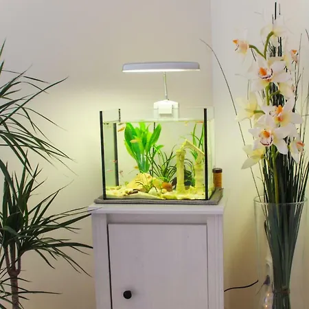 Private Appartement Prague